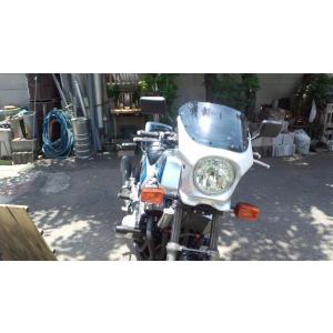 ワールドウォーク（WORLD WARK） CB1100F ビキニカウル DS-01 タイプ