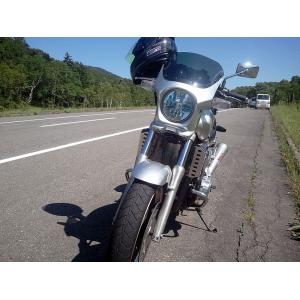 ホンダ（HONDA） 純正オプション品 CB400SF ビキニ カウル 純正色塗装