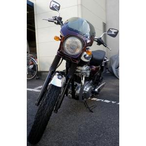 ワールドウォーク（WORLD WARK） W650対応 汎用ビキニカウル DS-01