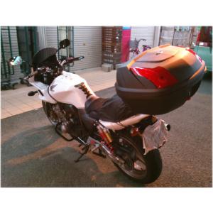 SHAD製リアボックス付 タンデムバー ウイルズウィン（WirusWin