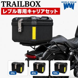 LEXUS純正 RC-F用 リアフェンダー・リアバンパーモール 左右セット