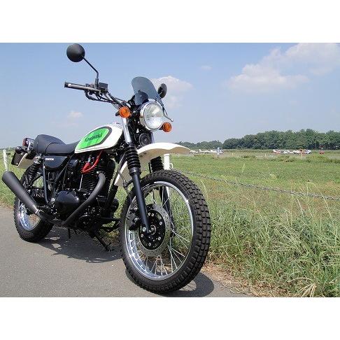 1年保証付き 250TR WS-01M 汎用 ウインドスクリーン ミニカウル 風防 カスタムパーツ ...