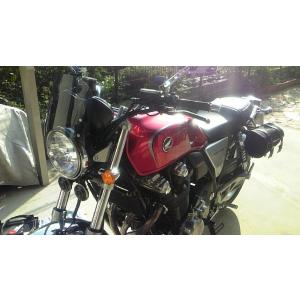 ワールドウォーク（WORLD WARK） CB1100 ビキニカウル DS-01 タイプ