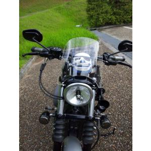 ハーレー スポーツスター 純正 ビキニカウル XL1200CX XL1200X