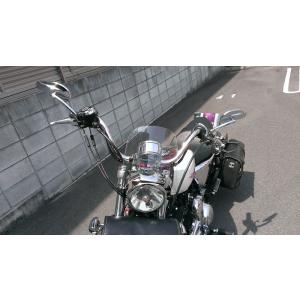ワールドウォーク（WORLD WARK） ZRX400-2 ビキニカウル タイプAERO
