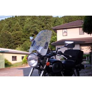 ワールドウォーク（WORLD WARK） GSX400インパルス ビキニカウル [DS