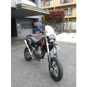 PRO SKILL プロスキル エンデューロサイレンサー Dトラッカー KLX250SR