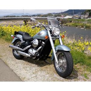 GIVI（ジビ） GIVI A660 ユニバーサルスクリーン スモーク 42.5×42cm