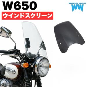 ワールドウォーク（WORLD WARK） W800対応 汎用ビキニカウル DS-01