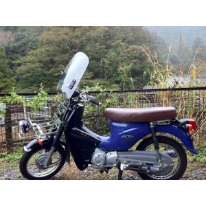 PLEASURE プレジャー ヘッドライトルーバー ZZR1100(D) KAWASAKI