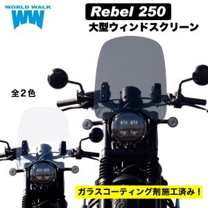ワールドウォーク（WORLD WARK） ZRX400-2 ビキニカウル タイプR 純正