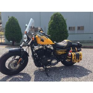 Harley-Davidsonスポーツスター用キジマツーリングキャリア KIJIMA（キジマ） ツーリングキャリア ハーレー スポーツスターモデル