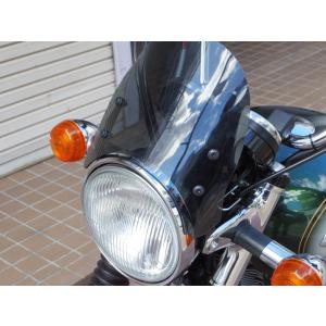 ワールドウォーク（WORLD WARK） W800対応 汎用ビキニカウル DS-01