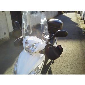 旭風防 DO-13 ウインドシールド ホンダ Dio110 JF58 JK03 【af アフ