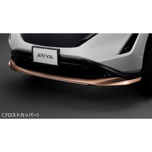 FEO系アリア フロントアンダープロテクター フラッシュシルバー、ダークスティールグレー ARIYA NISSAN｜bikebuhin