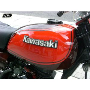 BIG CEDAR ビッグシーダー ティアドロップアルミタンク APE100 [エイプ