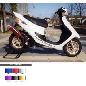 DAYTONA（デイトナ） 18988 ハイサイダー 樹脂カラー1/カラー2セット