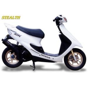 シースタイルレーシング ライブDio ZX (AF34 35) ファストチャンバー 2