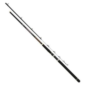 DAIWA（ダイワ） 磯竿 波濤 1.5-53・N [2021年モデル] : 釣具の