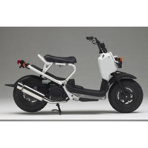 数量限定復刻 ZOOMER ズーマー50 AF58 RUCKUS ラッカス 北米ズーマー