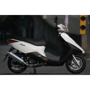 アクシス トリート XC125E/SE53J マフラー イグジスト Ti チタン 319