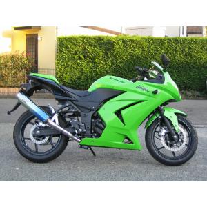 ツルノテクニカルサービス NINJA250 NINJA250R デュアルレーシング