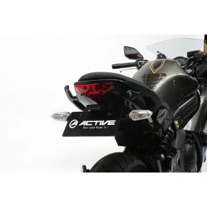 ACTIVE Kawasaki Ninja250/Ninja400/Z250/Z400 フェンダーレスキット