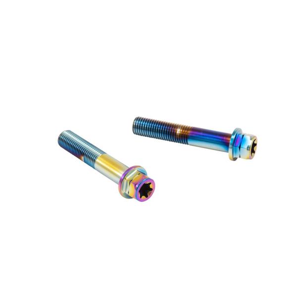 プロトブレンボ CMBF-055T ステンレスキャリパーマウントボルト フランジ六角 チタン色 55...