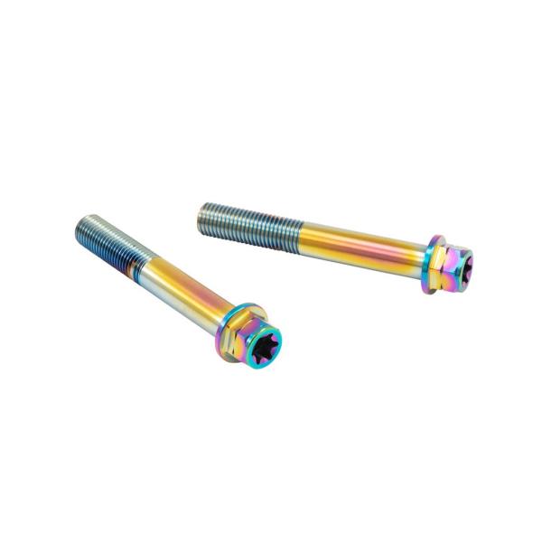 プロトブレンボ CMBF-070T ステンレスキャリパーマウントボルト フランジ六角 チタン色 70...