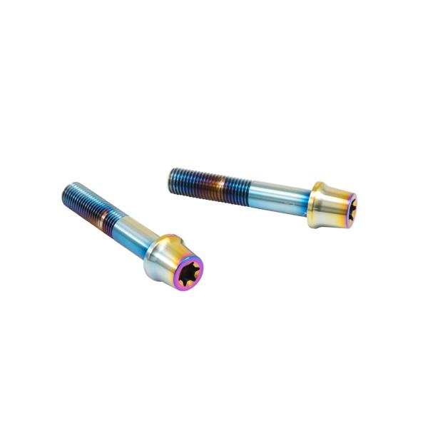 プロトブレンボ CMBT-055T ステンレスキャリパーマウントボルト テーパーキャップ チタン色 ...