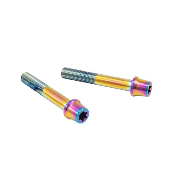 プロトブレンボ CMBT-065T ステンレスキャリパーマウントボルト テーパーキャップ チタン色 ...