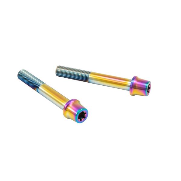 プロトブレンボ CMBT-070T ステンレスキャリパーマウントボルト テーパーキャップ チタン色 ...