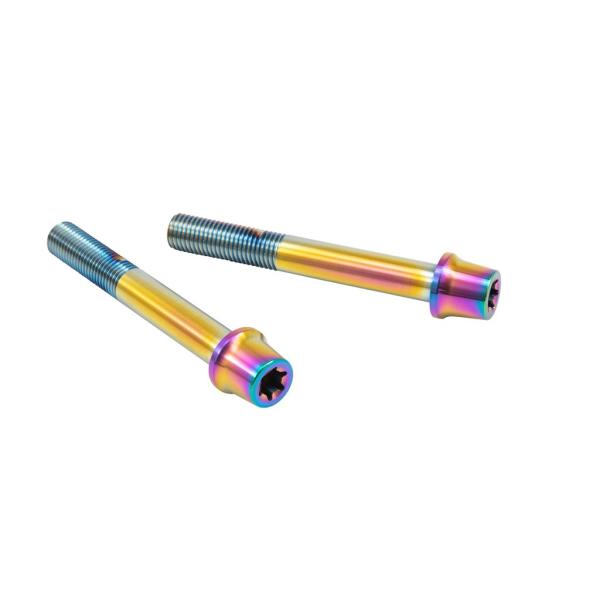 プロトブレンボ CMBT-075T ステンレスキャリパーマウントボルト テーパーキャップ チタン色 ...