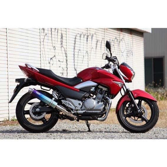 GSR250 JBK-GJ55D マフラー ARIA チタン タイプC カールエンド 509-SO-...