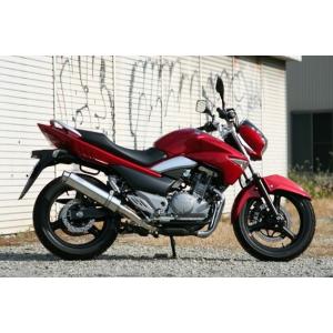 のりすけRealize スズキ GSR250 AriaスラッシュTypeS GSR250 JBK-GJ55D マフラー ARIA ステンレス タイプS スラッシュエンド