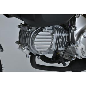 BEET 0606-KA2-00 NASSERT オイルクーラーキット D-TRACKER125 D