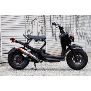 バイクパーツセンター カスタムカーボンマフラー クレアスクーピー