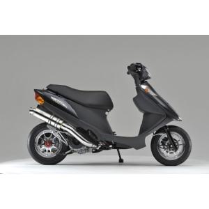 アドレスV125 -08 CF46A マフラー イグジスト SUS ステンレス 308-010-00 リアライズ アドレスV125 マフラー｜bikeman