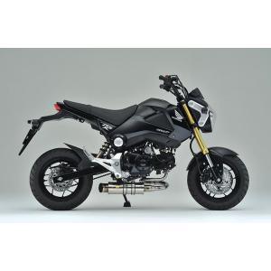 リアライズ 405-103-00 LAGUNA ラグナ ステンレス マフラー グロム/MSX125 ...