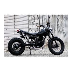 ライブディオ ZX DIO 紫紋タイプ アンダーカウル AF34 AF35 : バイク