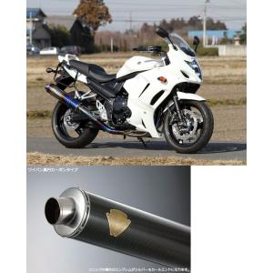アールズギア rs gear WS09-01TI ワイバン シングルタイプマフラー