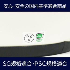 GT750 ヘルメット 族ヘル ホワイト ノス...の詳細画像4
