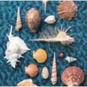CYCLE HIT 1991-1997 Spitz Complete Single Collection - 最安値