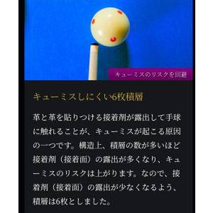 錦タップ 【NISHIKI TAP】ビリヤード...の詳細画像5