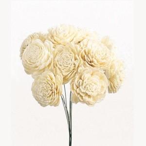 ソーラーローズ　大*白