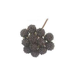 ラズベリー・１７ｍｍ*黒