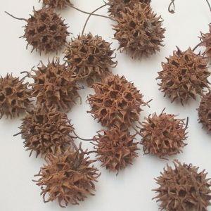 アンバーバーム*N