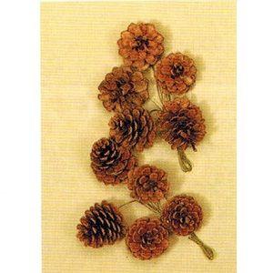 松カサ　ステム付　小 *Ｎ