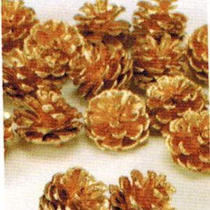 松カサ・小　２０コ入り *ゴールド