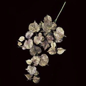 A-74371リーフバイン